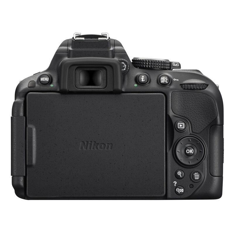 尼康（Nikon） D5300 入門單反數碼照相機(機身)_http://m.gzyiqian.cn/img/images/C201902/1551162975358.jpg
