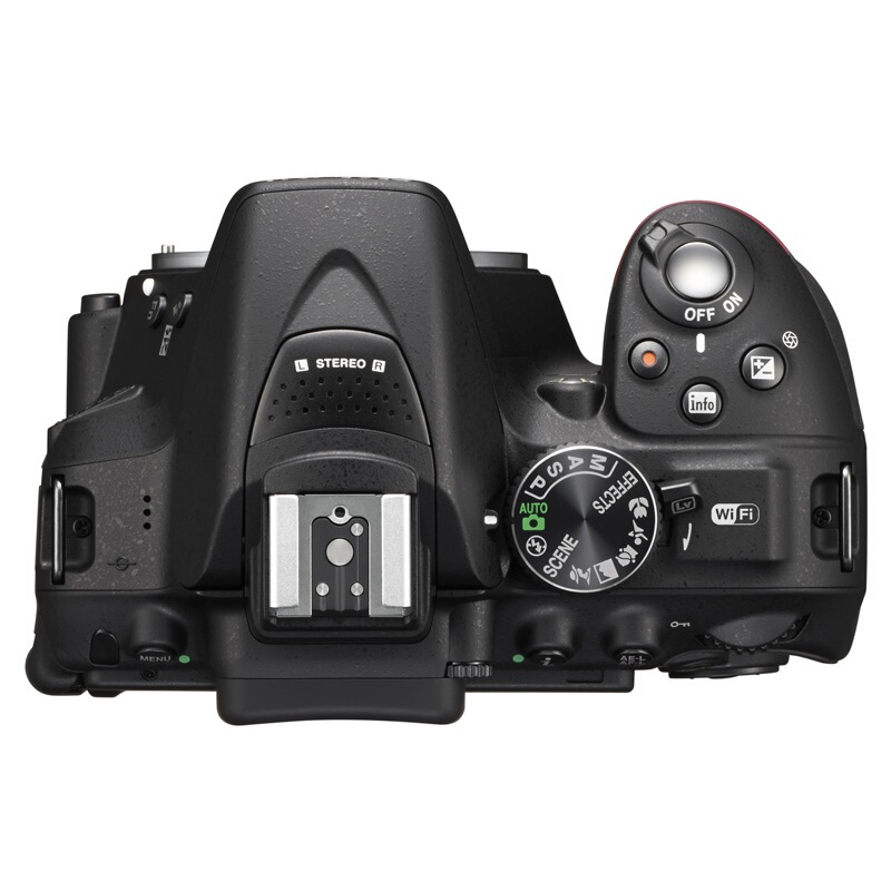 尼康（Nikon） D5300 入門單反數碼照相機(機身)_http://m.gzyiqian.cn/img/images/C201902/1551162975369.jpg