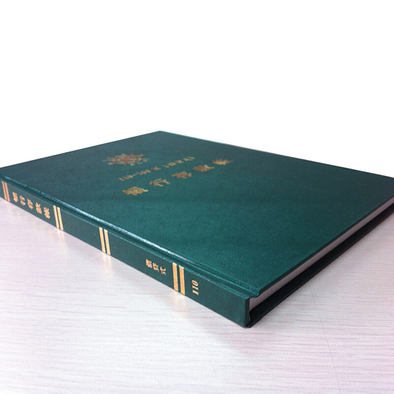 成文厚 借貸式110銀行存款賬 16K（19*26.2cm）100頁/本 _http://m.gzyiqian.cn/img/images/C201903/1551427406180.jpg