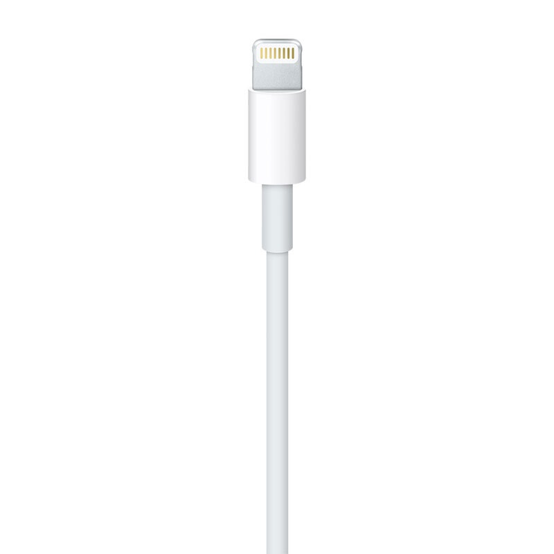 蘋果（Apple）Lightning/閃電轉 USB 連接線 (1 米)_http://m.gzyiqian.cn/img/images/C201906/1561532749758.jpg