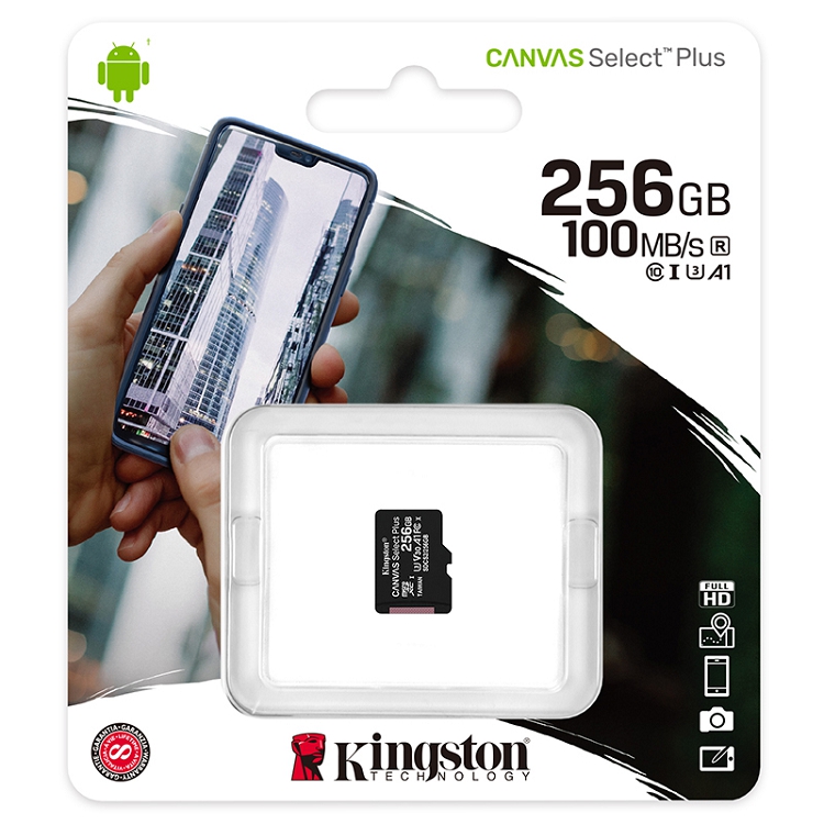 金士頓（Kingston）256GB A1 V30 U3 switch內存卡 讀速100MB/s 寫速85MB/s_http://m.gzyiqian.cn/img/images/C202103/1615967832148.jpg