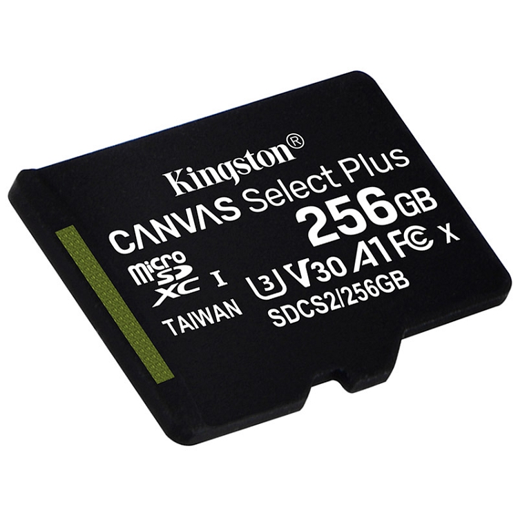 金士頓（Kingston）256GB A1 V30 U3 switch內存卡 讀速100MB/s 寫速85MB/s_http://m.gzyiqian.cn/img/images/C202103/1615967832813.jpg