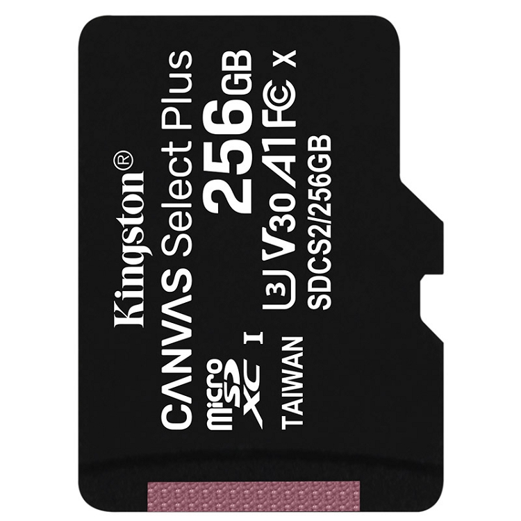 金士頓（Kingston）256GB A1 V30 U3 switch內存卡 讀速100MB/s 寫速85MB/s_http://m.gzyiqian.cn/img/images/C202103/1615967833024.jpg