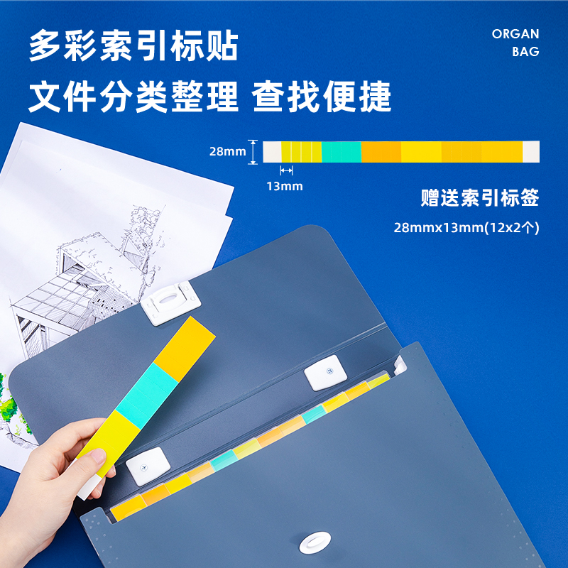 得力(deli)13格A4手提風琴包多層文件夾 樂素系列學生試卷收納袋資料冊補習包 淺藍72593_http://m.gzyiqian.cn/img/images/C202107/1625818245452.jpg