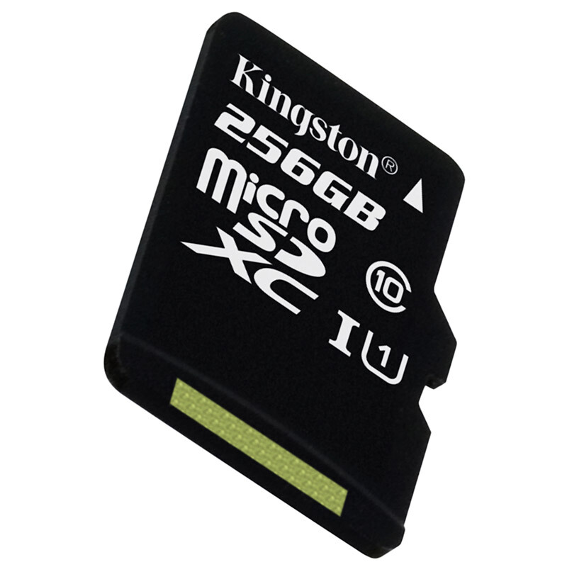 金士頓（Kingston） 內存卡 高速行車記錄儀 TF(Micro SD) Class10 UHS-I 手機存儲卡（256GB）_http://m.gzyiqian.cn/img/sp/276/995ff218-89ff-43c3-80c2-5bbb9e5e09a6.jpg