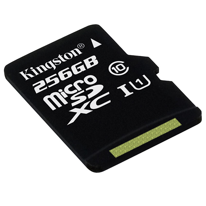 金士頓（Kingston） 內存卡 高速行車記錄儀 TF(Micro SD) Class10 UHS-I 手機存儲卡（256GB）_http://m.gzyiqian.cn/img/sp/276/eb0feca0-f6fc-4e28-aa7f-edfa00fa10c2.jpg