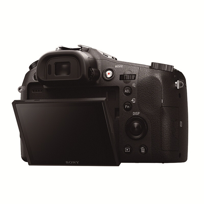 索尼（SONY） DSC-RX10 黑卡數碼相機 等效24-200mm F2.8 蔡司鏡頭（WIFI/NFC RX10M1）_http://m.gzyiqian.cn/img/sp/307/122daa0f-f634-4bd9-ba2f-124e3b6587a0.jpg