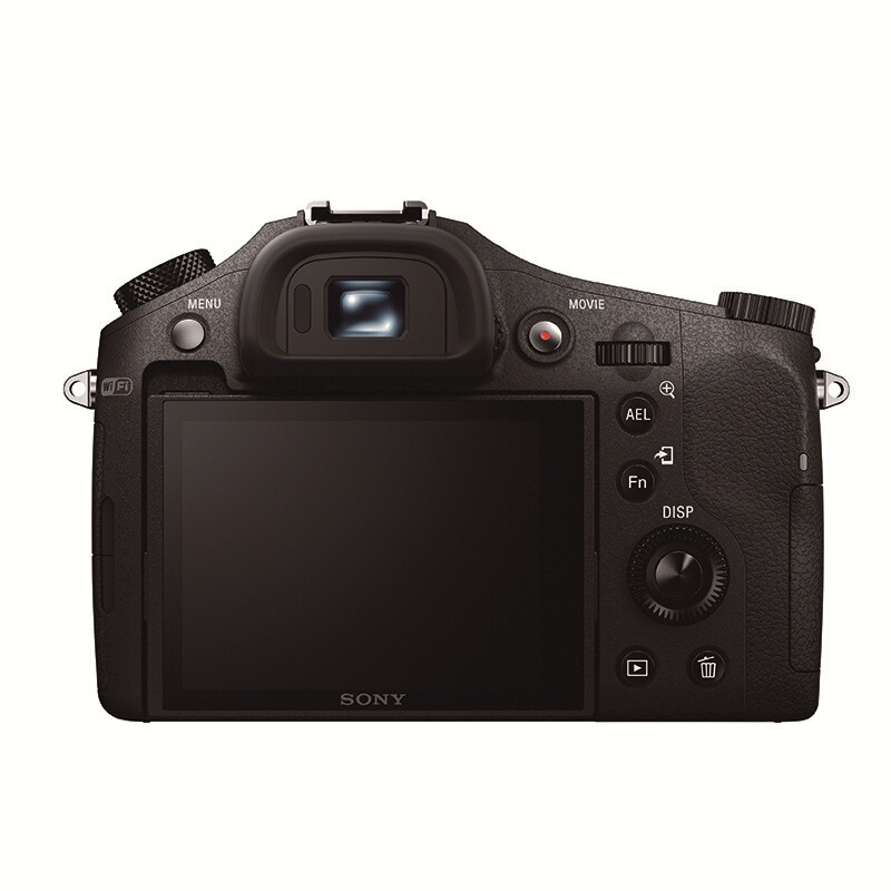 索尼（SONY） DSC-RX10 黑卡數碼相機 等效24-200mm F2.8 蔡司鏡頭（WIFI/NFC RX10M1）_http://m.gzyiqian.cn/img/sp/307/ed6f7730-f98f-45ee-887b-856d5f89a500.jpg