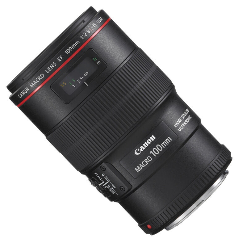 佳能（Canon） EF 100mm f/2.8L IS USM 微距鏡頭_http://m.gzyiqian.cn/img/sp/320/d461e49a-1ad3-4d1e-aa6d-69e5529be7aa.jpg