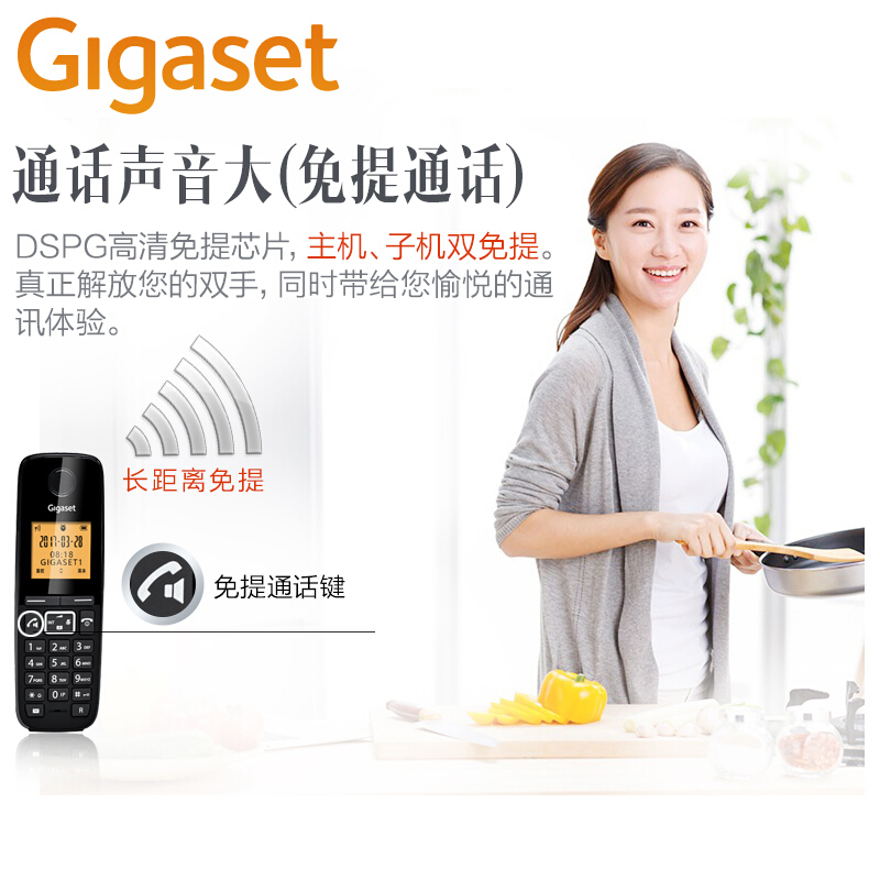 集怡嘉（Gigaset） DL310 原西門子品牌電話機 數字無繩電話家用子母機中文來電顯示一拖一辦公固定無線電話座機（白色）_http://m.gzyiqian.cn/img/sp/329/15e4dd1e-c369-4d91-9e79-e838dd921dbf.jpg