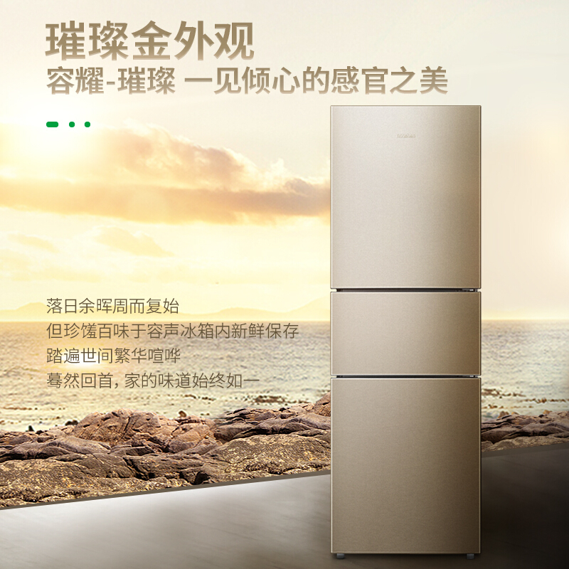 容聲(Ronshen) BCD-252WD11NPA 252升 三門冰箱_http://m.gzyiqian.cn/img/sp/331/eca77551-6cb8-4042-82e3-11dd9ab699ec.jpg