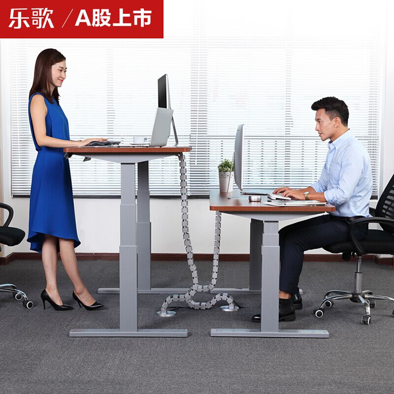 樂歌（Loctek） E3 呵護腰椎站立辦公電動升降桌/立柱3節 (凹型1400*700mm) _http://m.gzyiqian.cn/img/sp/361/4d454ae4-6e4a-46db-a54f-aadb0317c53e.jpg