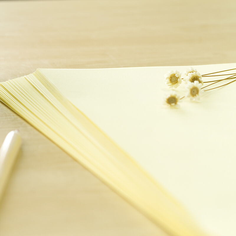 得力（deli） 7391 彩色復(fù)印紙 A4/80g 100張/包（淺黃）_http://m.gzyiqian.cn/img/sp/81/a3154df9-6b0c-4b62-b2a8-cbb01eaac7ef.jpg