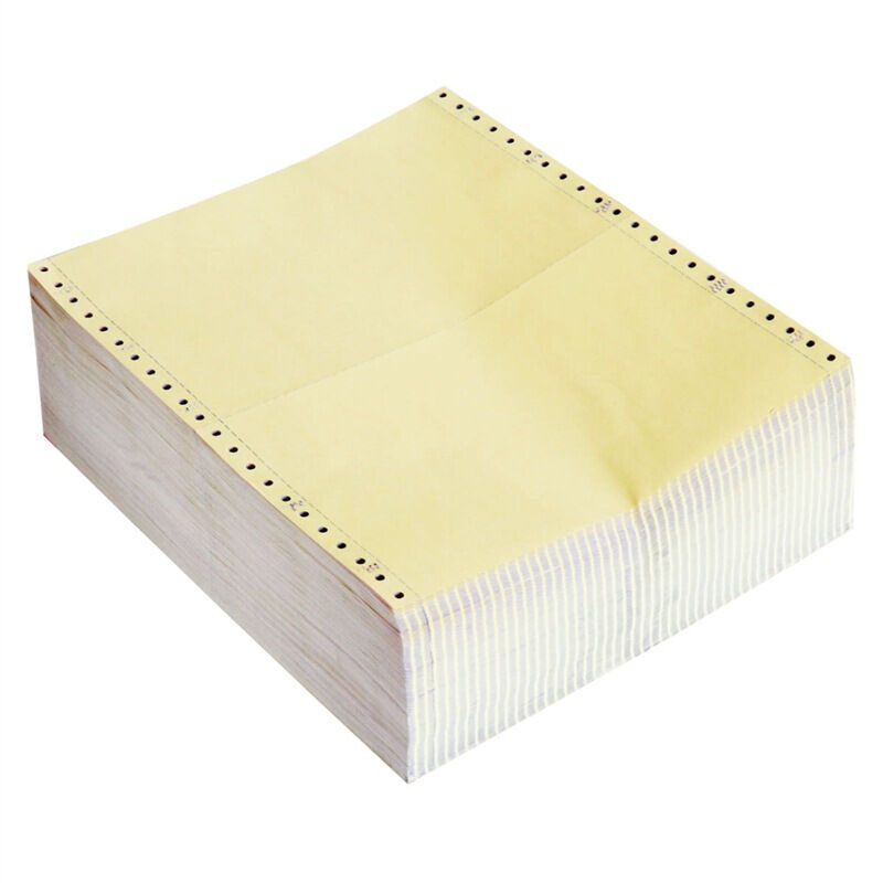 得力（deli） L241-1 萊茵河一聯電腦打印紙（整張全白不撕邊 1000頁/箱）_http://m.gzyiqian.cn/img/sp/81/b55f3056-bc4f-48c9-a3f5-03d1ba15dc54.jpg